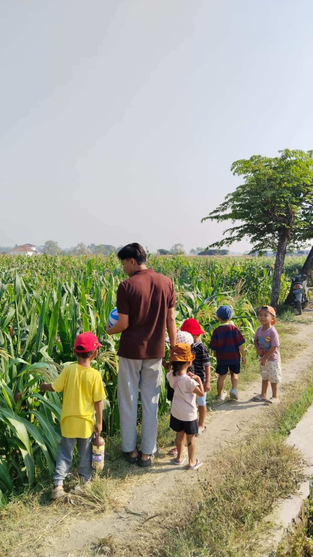 Jalan Pagi ke Sawah
